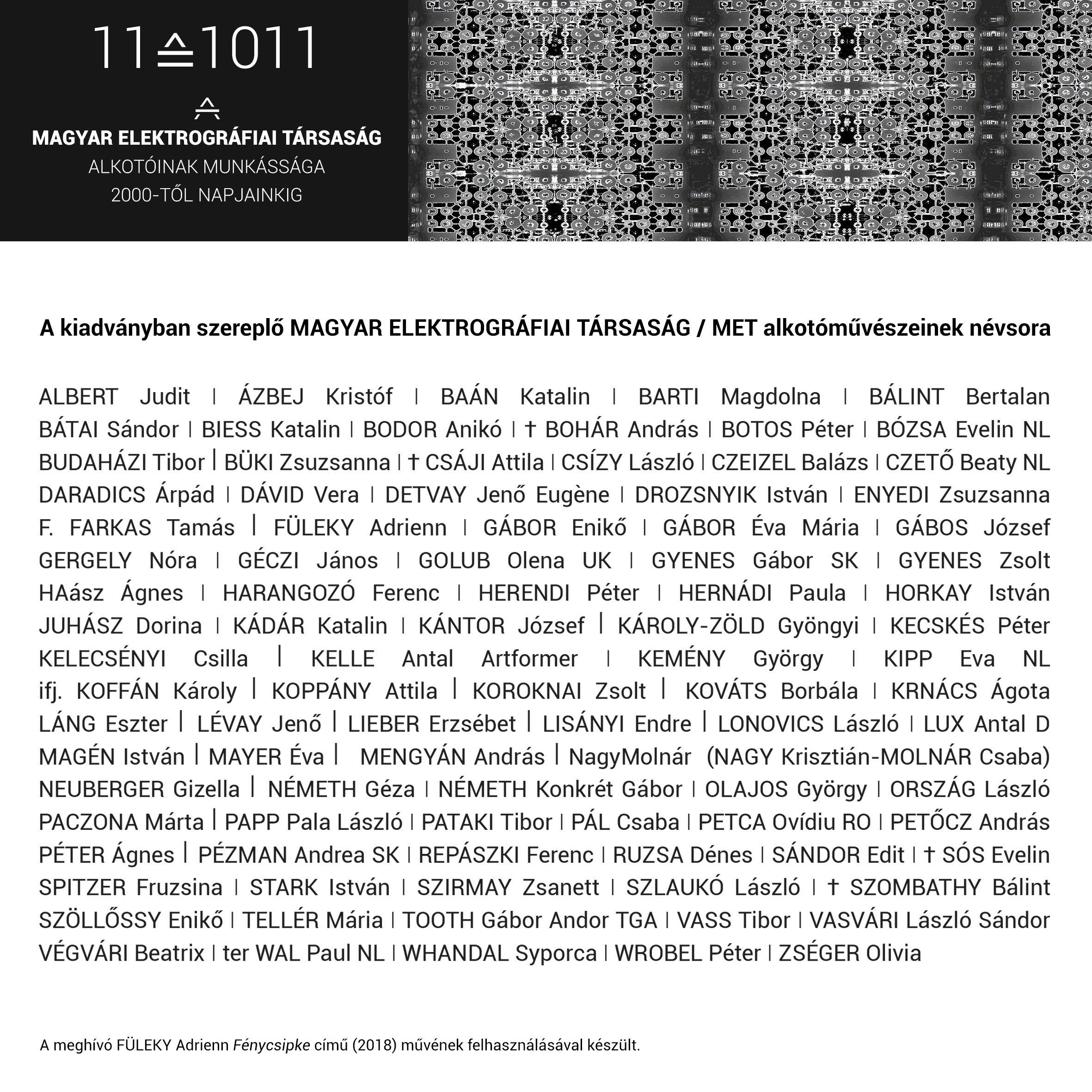 11 1011   A Magyar Elektrografiai Tarsasag alkotoinak munkassaga 2000 tol napjainkig 03