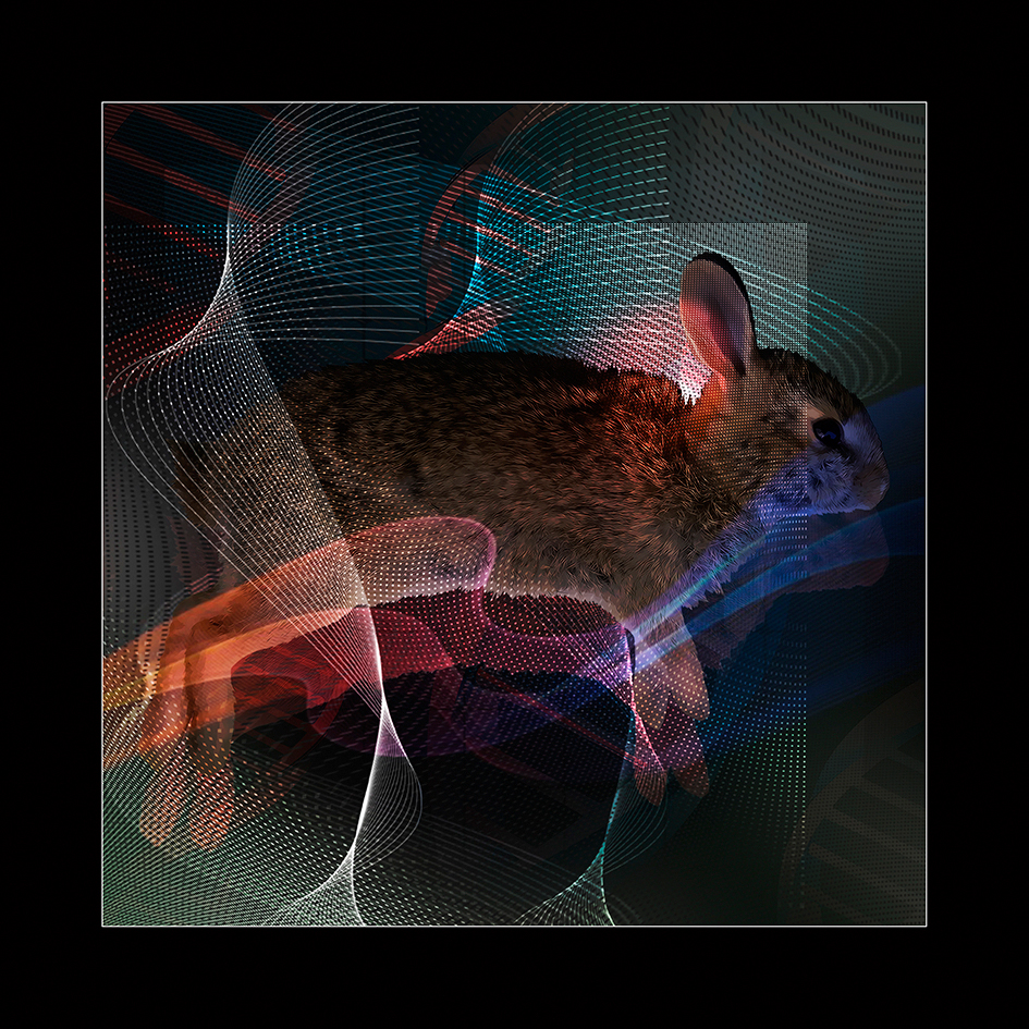 Bózsa Evelin munkája