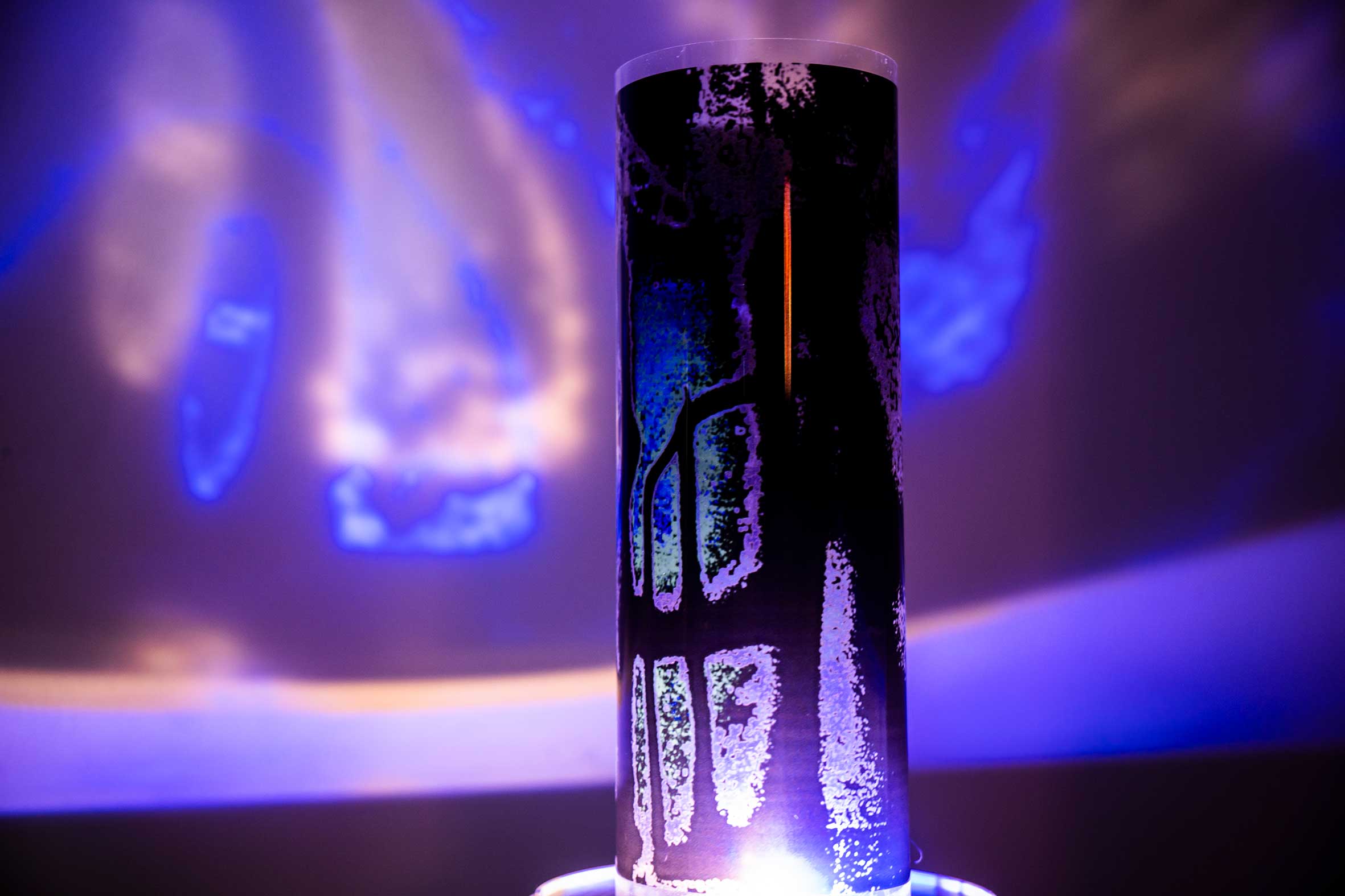 FENY   TORESEK Net 112.jpg