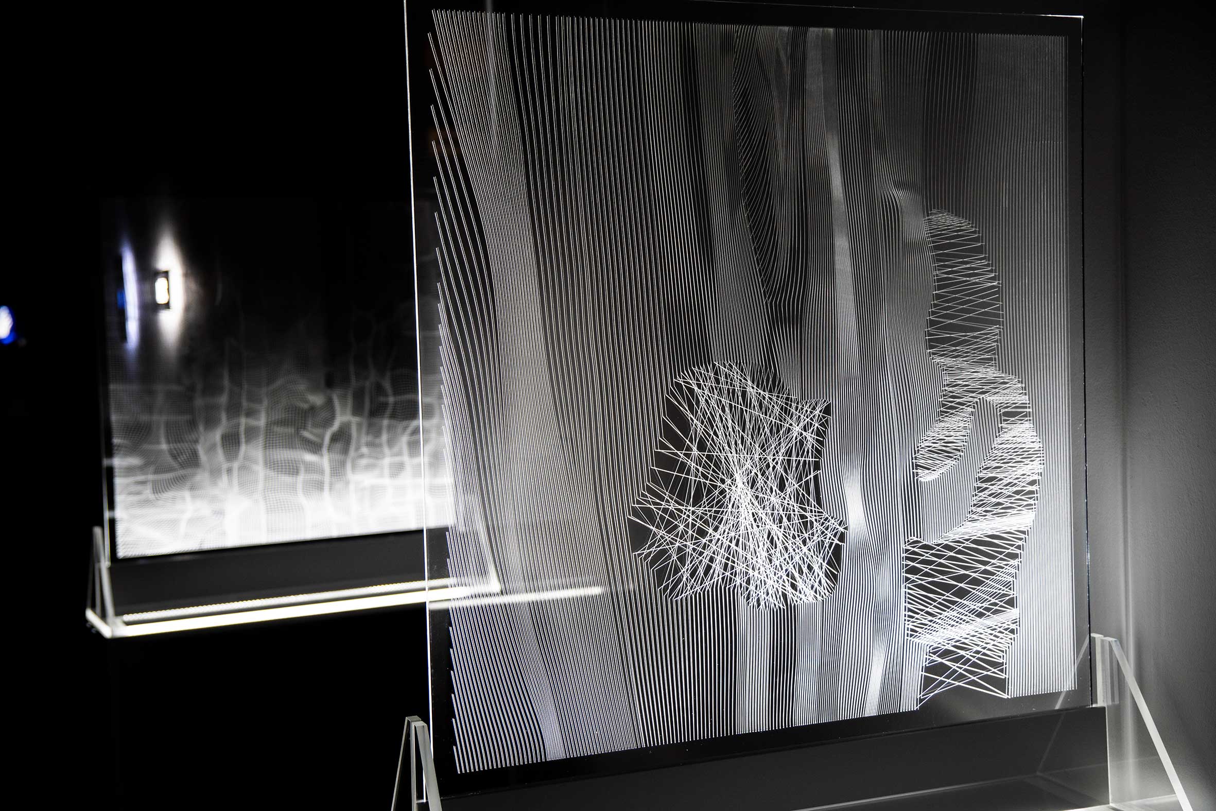 FENY   TORESEK Net 121.jpg