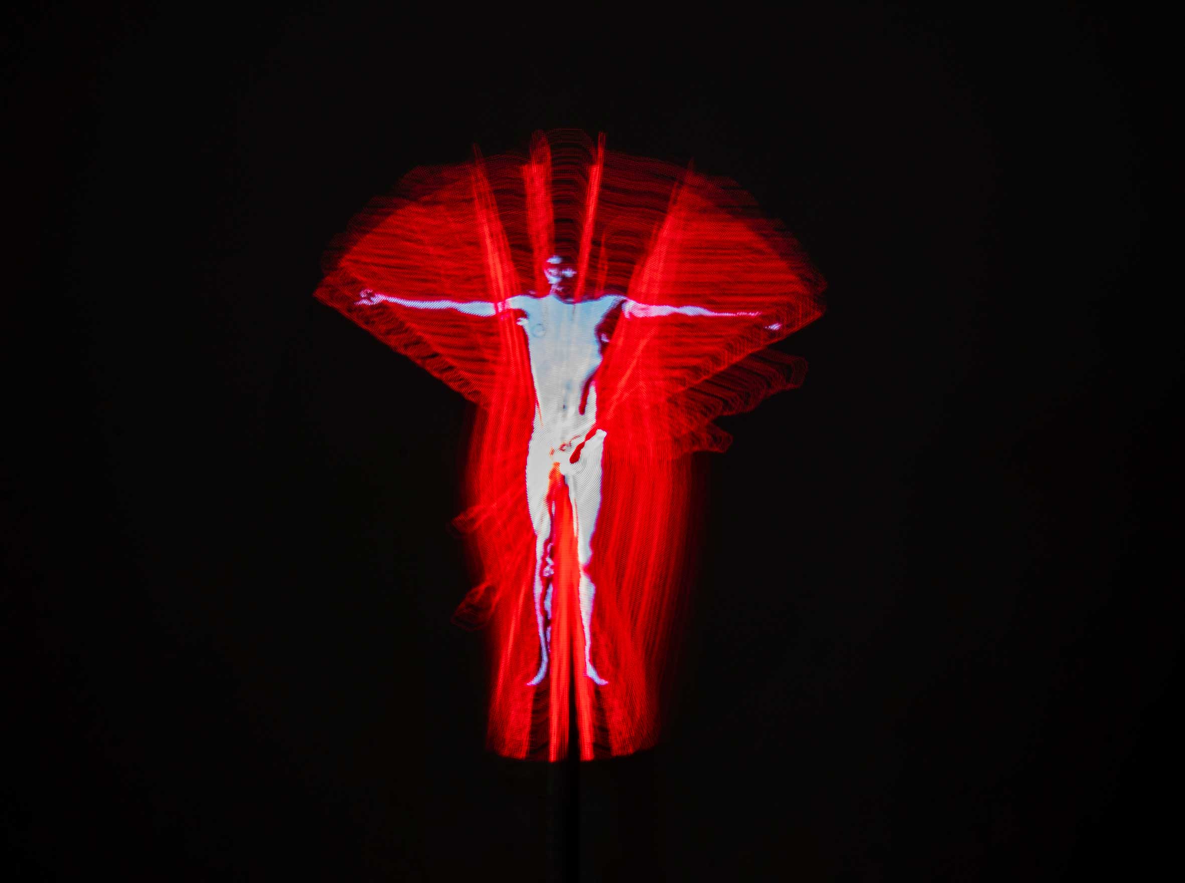 FENY   TORESEK Net 81