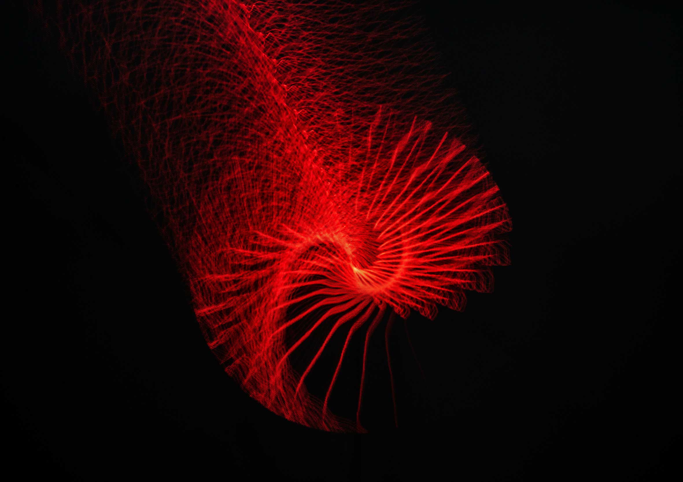 FENY   TORESEK Net 83