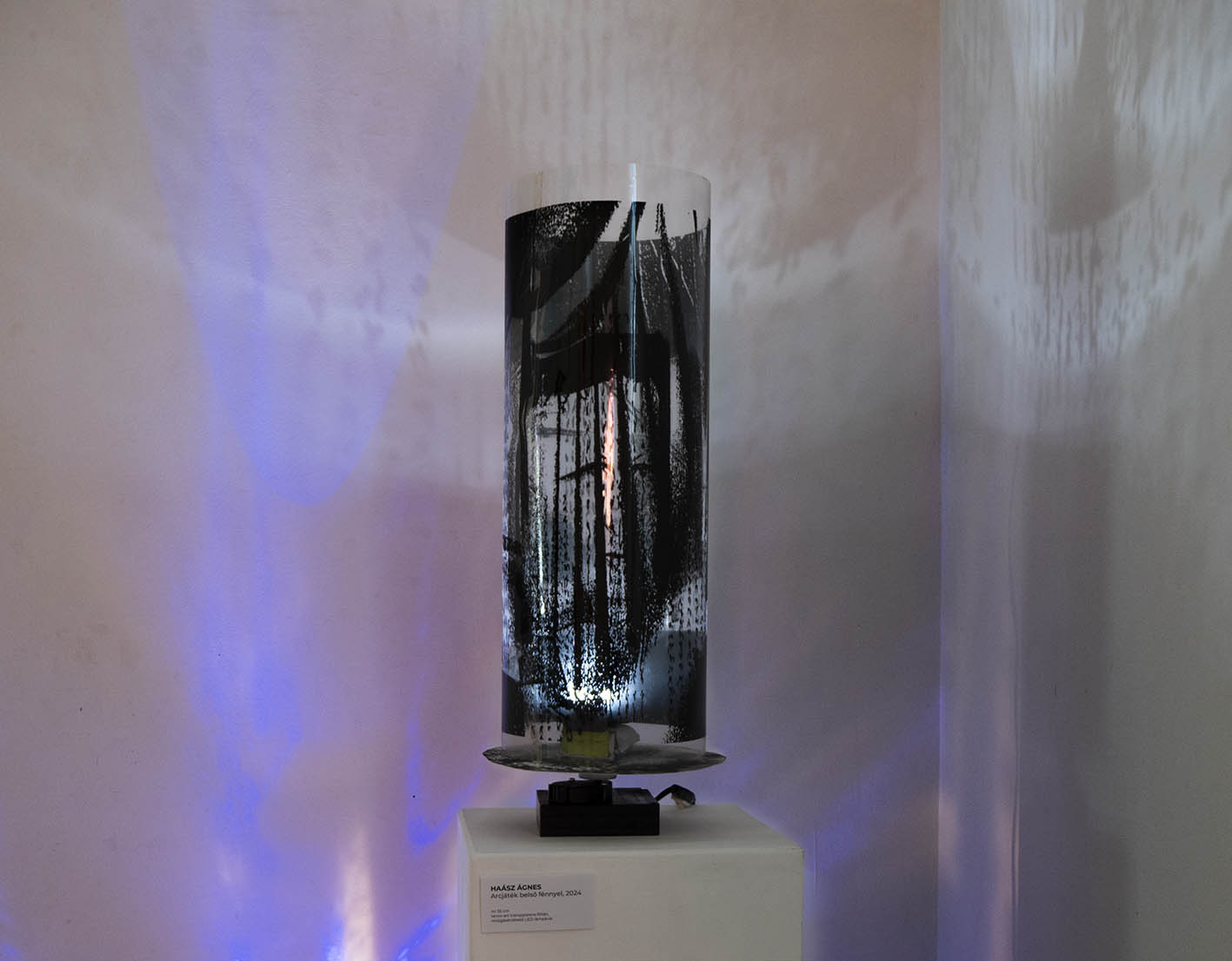 Haász Ágnes Arcjáték