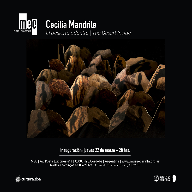 Cecilia Mandrile MEC e invitation