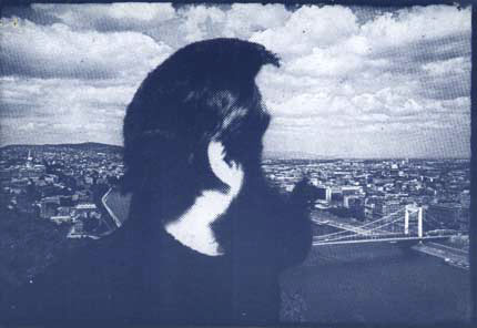 regős imre portré 1